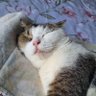 Profilbild von Choochoo_luv