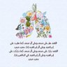 نغرد بذكر الله's profile picture