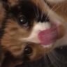 KittyFuture 🍉 profil fotoğrafı