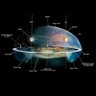 La Terre Est Plate 的头像