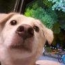 Profilbild von Naya