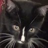Profilbild von Gracie Casey