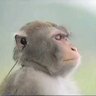 Rundybu profil fotoğrafı