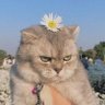 นั่นน่ะสิน้า 👻🌝 profil fotoğrafı