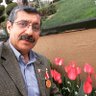 Mehmet Emin TURANALP 的头像