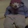 b's profile picture