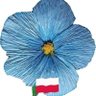 Maggie Martyna's profile picture