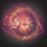 lurkingBurnerMcNobody's profile picture
