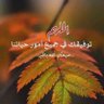 اشراقة وطن 的头像