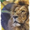 🇧🇷🇮🇱 🇺🇲 Anticomunista's profile picture