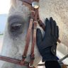 Фото профиля ✨🐎
