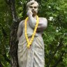 संस्कार तिवारी profil fotoğrafı