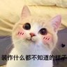 我吃一點 的头像