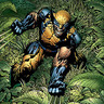 Profilbild von wolverine