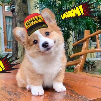 papita tifosa🏎️🍟's profile picture