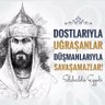 mustafa ‏مصطفى 🇹🇷#YaDevletBaşaYaKuzgunLeşe 🇹🇷 profil fotoğrafı
