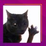 Profilbild von Purrberry🐱