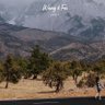 Johnwong626 profil fotoğrafı