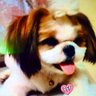 @luckylantis 的头像