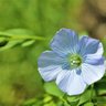 Lenidu2 profil fotoğrafı