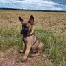 Enzo profil fotoğrafı