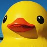 Profilbild von Nankka