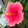 はく profil fotoğrafı