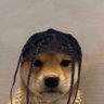 AINT NO WAY 的头像