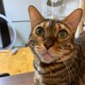 jesse012215 profil fotoğrafı