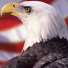 skippy usa profil fotoğrafı
