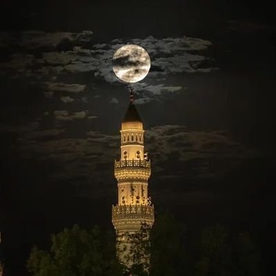 Dc4Re5Dy5vRIbEN's profile picture