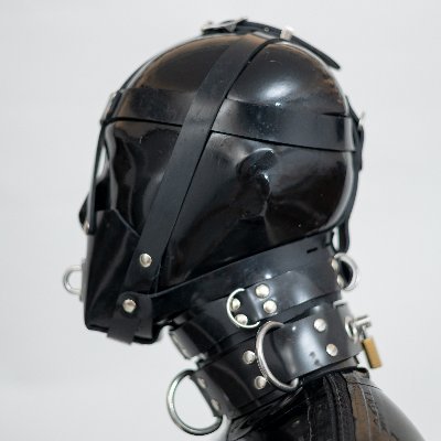 LatexZephyr's profile picture