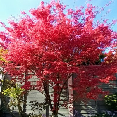 DrJoGreer's profile picture