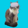 CasualVRCat 的头像