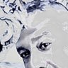 Enrico Severino's profile picture