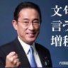 N 的头像