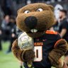 Rip City Beaver 🦫's profile picture