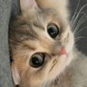 Фото профиля Freya