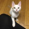 PikKa's profile picture