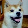 SORA profil fotoğrafı