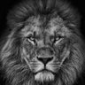 Profilbild von Adptry
