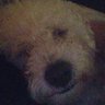 Profilbild von Gavin123