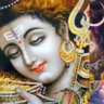 shila sreedhar (Modi ka Parivar)'s profile picture