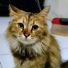 Aulian 08 profil fotoğrafı