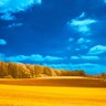 Фото профиля Pavel Petrovich
