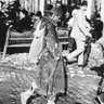Erdal profil fotoğrafı
