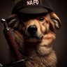 Profilbild von German Fella
