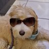 Profilbild von Sean