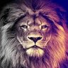 Gonedu38🦁's profile picture