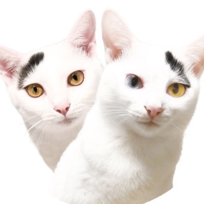 nana_q79's profile picture